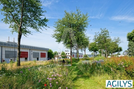 Activités / entrepôts à louer – VILLEBON SUR YVETTE (91140) – 5