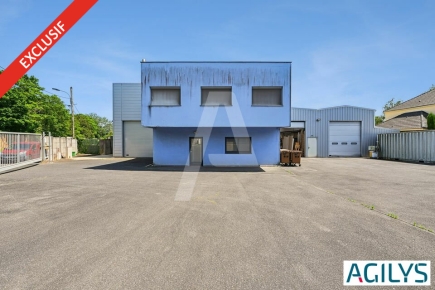 Activités / entrepôts à vendre – VERRIERES LE BUISSON (91370) – 5
