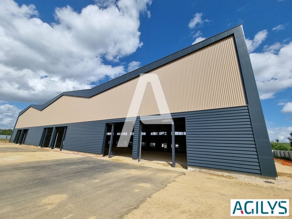 Activités / entrepôts à vendre – MOISSY-CRAMAYEL (77550) – 1