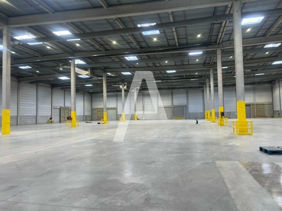 Activités / entrepôts à louer – MOISSY CRAMAYEL (77550) – 1