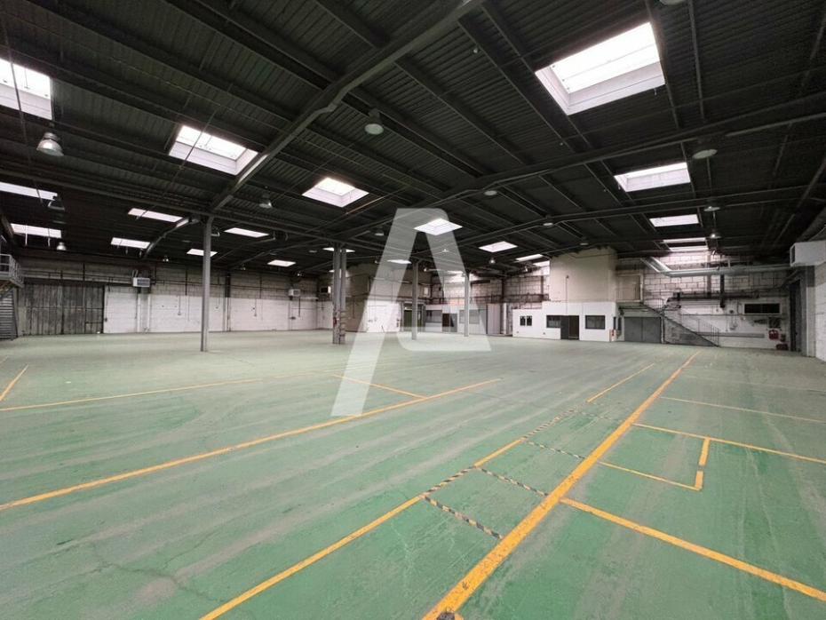 Activités / entrepôts à louer – PALAISEAU (91120) – 1