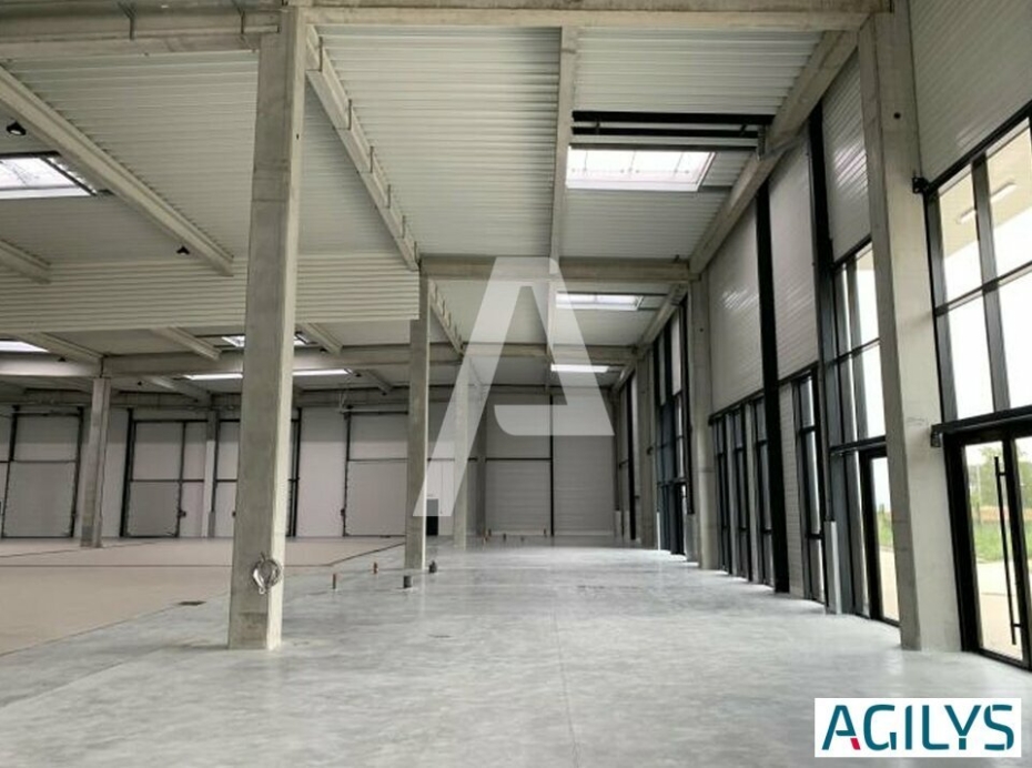 Activités / entrepôts à louer – SUCY-EN-BRIE (94370) – 1