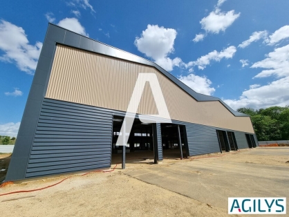 Activités / entrepôts à vendre - MOISSY CRAMAYEL – Photo 1